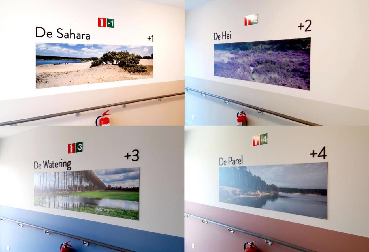 Livibel Wayfinding 4